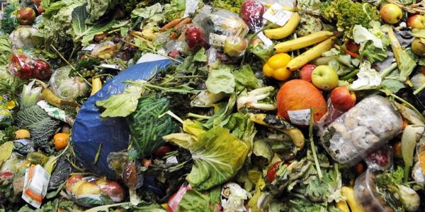 Food Waste: To παγκόσμιο πρόβλημα της σπατάλης τροφίμων - Ειδήσεις Pancreta