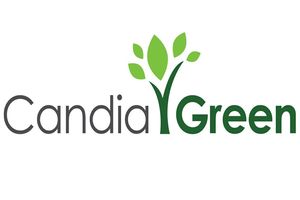 Candia Green