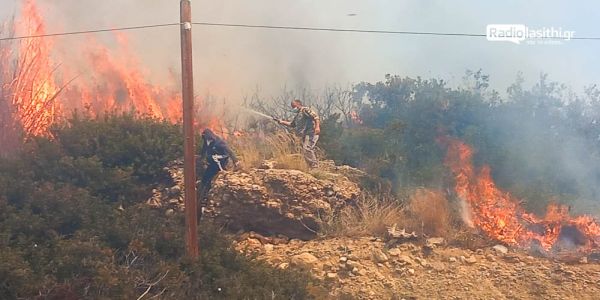 Σε ύφεση η φωτιά στο Λασίθι – Πάνω από 2.000 στρέμματα έγιναν στάχτη - Ειδήσεις Pancreta