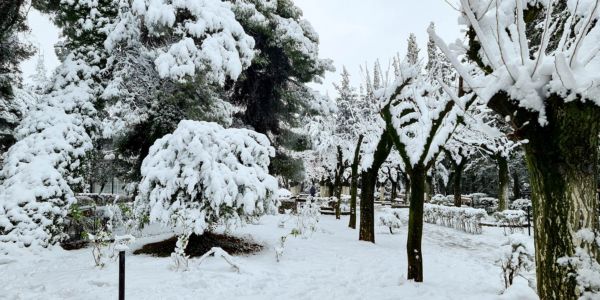 «Μήδεια»: Οι δέκα περιοχές της Κρήτης που θα έχουν σφοδρή χιονόπτωση - Ειδήσεις Pancreta