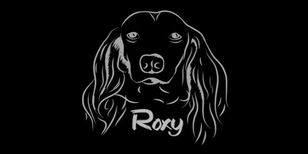 Roxy, μια ταινία μικρού μήκους για τα αδέσποτα ζώα (βίντεο) - Ειδήσεις Pancreta