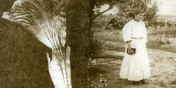 Willie Anne Wright : Λουλούδια, γυναίκες και ταξίδια στο χρόνο… - Ειδήσεις Pancreta