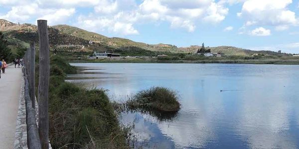 Χανιά: Γιορτή των πουλιών στην λίμνη της Αγιάς - Ειδήσεις Pancreta