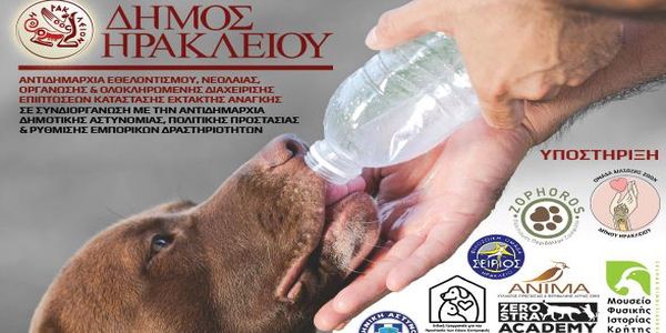 Επιμορφωτικό σεμινάριο: «Εκπαίδευση Εθελοντών για τη Διαχείριση ζώων σε κατάσταση έκτακτης ανάγκης» - Ειδήσεις Pancreta