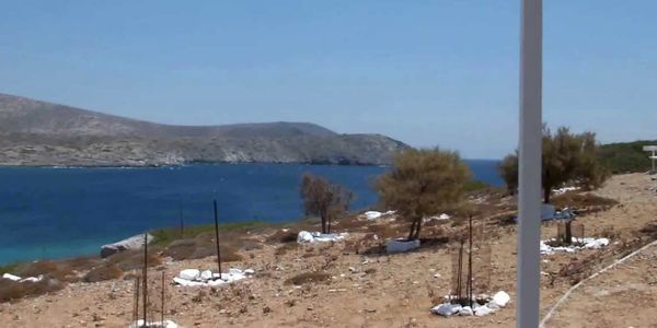 Φορείς της Κρήτης καθαρίζουν τη νήσο Ντία - Ειδήσεις Pancreta