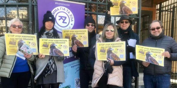 Κόμμα για τα Ζώα: Διαμαρτυρία για την κακοποίηση του αετού Οδυσσέα από την ΠΑΕ ΑΕΚ! - Ειδήσεις Pancreta