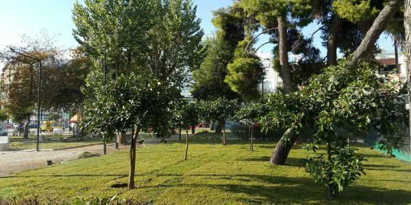 Η Οικολογική Παρέμβαση Ηρακλείου για τη συνοικία του Άη Γιάννη στο Ηράκλειο - Ειδήσεις Pancreta