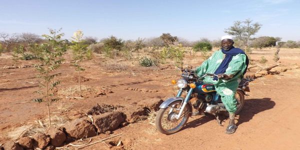 Yacouba Sawadogo - Ο αγρότης που νίκησε την έρημο - Ειδήσεις Pancreta