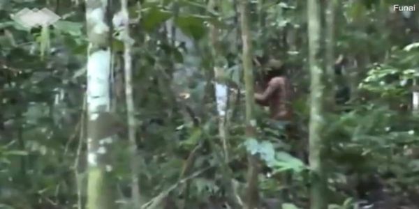 Ο τελευταίος επιζών φυλής του Αμαζονίου (βίντεο) - Ειδήσεις Pancreta