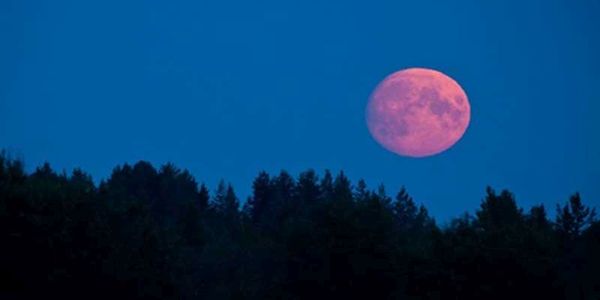 Απόψε το "ματωμένο φεγγάρι", η μεγαλύτερη έκλειψη σελήνης του 21ου αιώνα - Ειδήσεις Pancreta