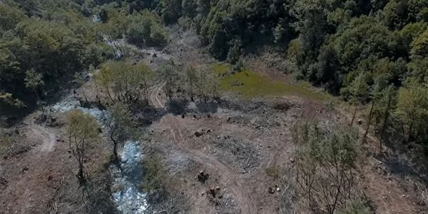 "Μη παρακαλώ σας μη" - Βίντεο ντοκουμέντο από την άνευ προηγουμένου αποψίλωση των ελληνικών δασών - Ειδήσεις Pancreta