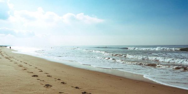 Έρευνα: Το από που παίρνει η θάλασσα τη μυρωδιά της, μπορεί να είναι μια λύση για την κλιματική αλλαγή - Ειδήσεις Pancreta