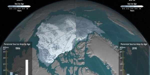 Η δραματική υποχώρηση των πάγων στην Αρκτική μέσα σε 32 χρόνια, σε βίντεο της NASA - Ειδήσεις Pancreta