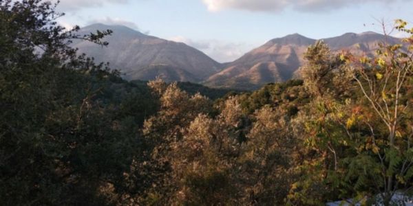 Κρήτη: Καινοτόμα συνεργασία για την αξιοποίηση των ορεινών περιοχών - Ειδήσεις Pancreta