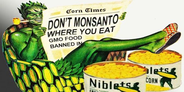 Monsanto –Bayer: Τοξική Συνενοχή - Ειδήσεις Pancreta