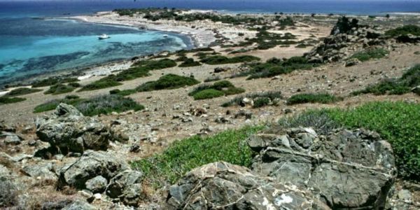 Συνήγορος του Πολίτη: Περιβαλλοντική υποβάθμιση της νήσου Χρυσής - Ειδήσεις Pancreta