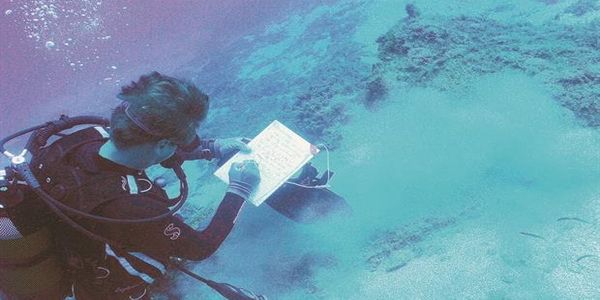 Εικόνες από τον υποβρύχιο θησαυρό στη Ντία - Ειδήσεις Pancreta