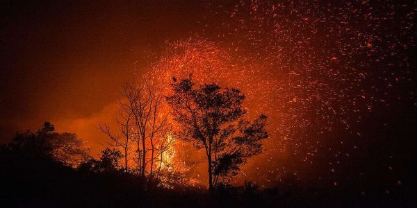 Πυρκαγιές Αύγουστος 2021: Μύθοι και αλήθειες - Ειδήσεις Pancreta