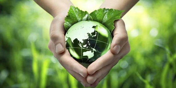 5 Ιουνίου: Παγκόσμια ημέρα Περιβάλλοντος - 20 χρόνια από το πρωτόκολλο του Κιότο - Ειδήσεις Pancreta