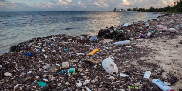 Kουτιά αλουμινίου, πλαστικά μπουκάλια και σακούλες τα μισά σκουπίδια στις ελληνικές θάλασσες - Ειδήσεις Pancreta