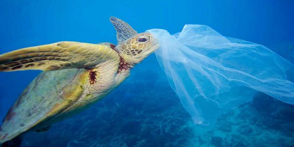 Τα πλαστικά πνίγουν τη Μεσόγειο - Ειδήσεις Pancreta