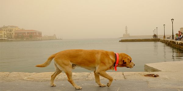 Κρήτη: Σύντομη κακοκαιρία με μεταφορά αφρικανικής σκόνης - Ειδήσεις Pancreta