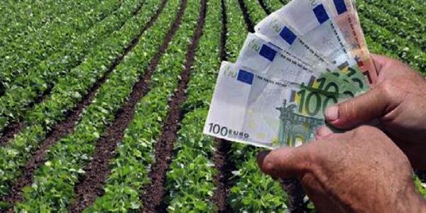 Ξεκινούν οι πληρωμές των αγροτικών επιδοτήσεων - Ειδήσεις Pancreta