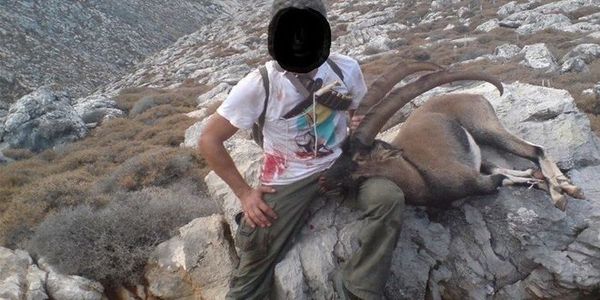 Ασυνείδητοι κυνηγοί έβαλαν στο σημάδι τα προστατευόμενα αγριοκάτσικα της Κρήτης - Ειδήσεις Pancreta