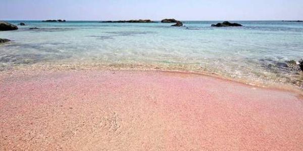 Οι οκτώ πιο όμορφες ροζ παράλιες - Οι δυο στην Κρήτη! (φωτο) - Ειδήσεις Pancreta