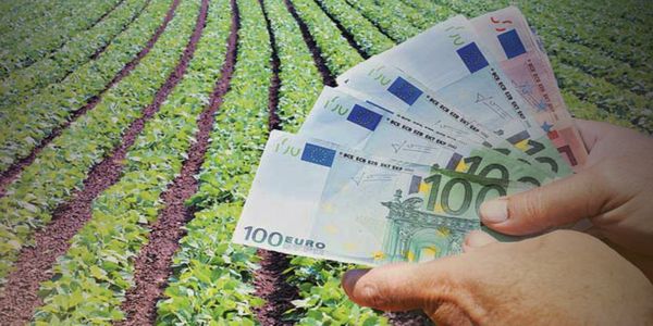 Μπαίνουν οι επιδοτήσεις με... ακατάσχετο για τους αγρότες - Ειδήσεις Pancreta