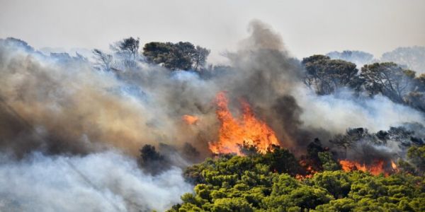 Λασίθι: Μεγάλη φωτιά στην Καλαμαύκα - Ειδήσεις Pancreta