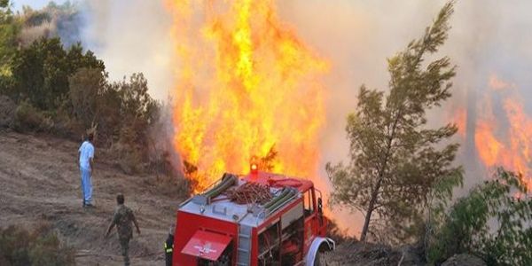 Μεγάλη φωτιά στον Προφήτη Ηλία-Σπεύδουν δυνάμεις της πυροσβεστικής - Ειδήσεις Pancreta