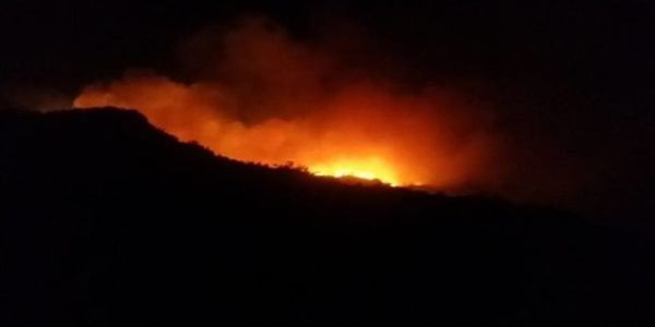 Ιεράπετρα: Στις φλόγες το δάσος Σελάκανο - Ανεξέλεγκτη μαίνεται η φωτιά - Ειδήσεις Pancreta