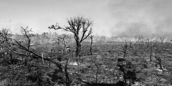 «Κλιματική αλλαγή: Επιπτώσεις στο περιβάλλον και δράσεις για την αντιμετώπισή της» - Ειδήσεις Pancreta