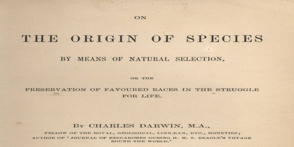 «Η Καταγωγή των Ειδών» του Κ. Δαρβίνου - Ειδήσεις Pancreta