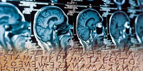 Η μελέτη των αρχαίων ελληνικών αναπρογραμματίζει τον εγκέφαλο των δυσλεκτικών παιδιών - Ειδήσεις Pancreta