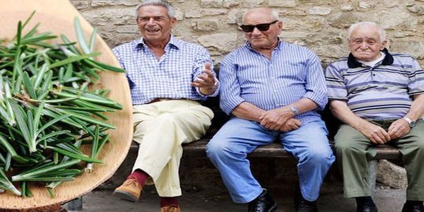 Ποιό βότανο είναι το μυστικό μακροζωίας των αιωνόβιων κατοίκων ενός χωριού; - Ειδήσεις Pancreta