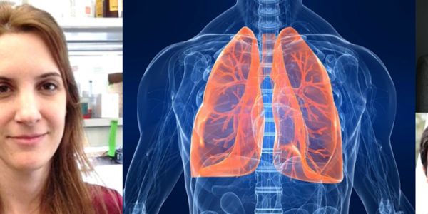 Κορυφαία διάκριση για 3 Έλληνες ερευνητές στον τομέα της Πνευμονολογίας - Ειδήσεις Pancreta
