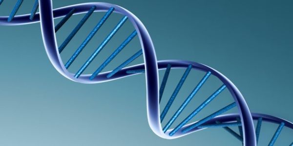 Το DNA δεν είναι κατ’ ανάγκη μοιραίο - Αρκεί να προσέχετε πώς ζείτε - Ειδήσεις Pancreta