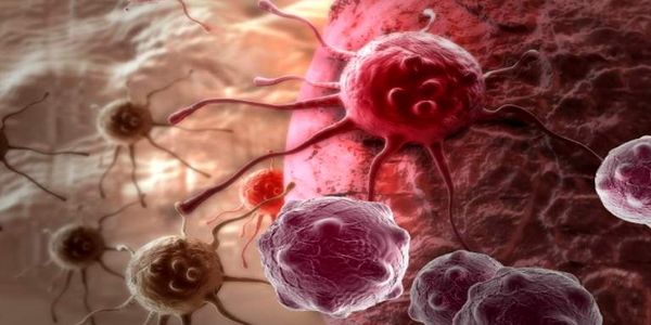 «Κοκτέιλ» από βιάγκρα και εμβόλιο της γρίπης «σκοτώνει» τον καρκίνο; - Ειδήσεις Pancreta