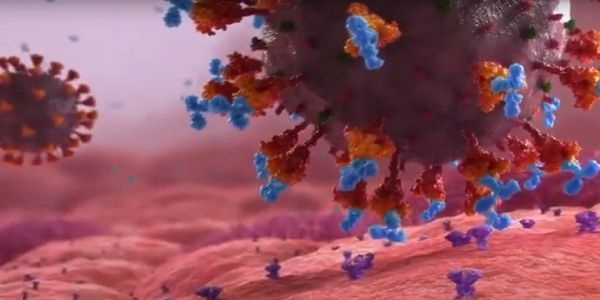 Κορωνοϊός - Εντυπωσιακό βίντεο: Πώς το εμβόλιο mRNA «μαθαίνει» τα κύτταρα να σκοτώνουν τον κορωνοϊό - Ειδήσεις Pancreta