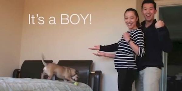 Εννέα μήνες εγκυμοσύνης σε ένα βίντεο 90 δευτερολέπτων - Ειδήσεις Pancreta