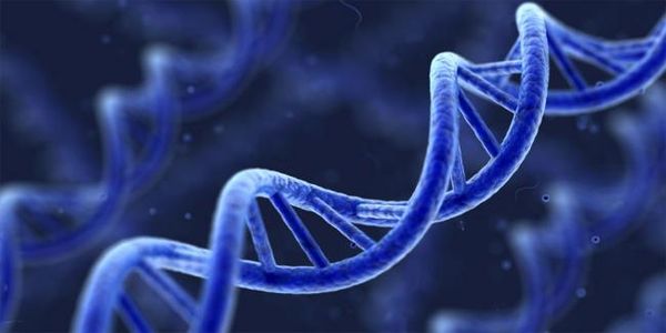 Ερευνητές από την Κρήτη ανακάλυψαν τρεις πρωτεΐνες που μπορούν να εμποδίσουν τη δημιουργία καρκίνων - Ειδήσεις Pancreta