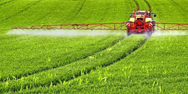 Η Γερμανία άνοιξε την πόρτα στη Monsanto - Ειδήσεις Pancreta