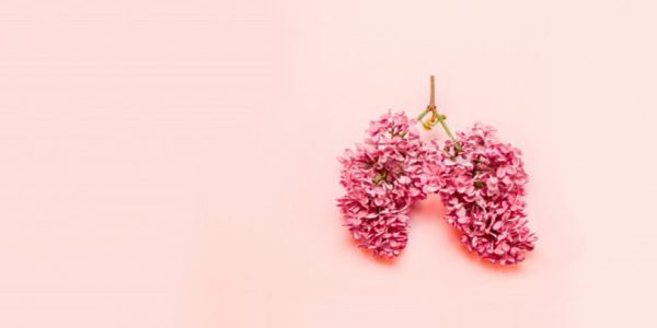 Πως καθαρίζουν τα πνευμόνια; Οδηγός διατροφής - Ειδήσεις Pancreta