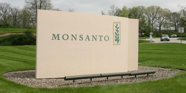 Ένοχη για καρκινογόνο ζιζανιοκτόνο η πολυεθνική Monsanto - Ειδήσεις Pancreta