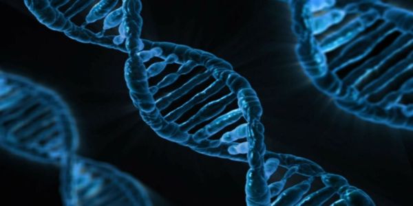 Αυτοάνοσα: Όταν το σώμα επιτίθεται στον εαυτό του