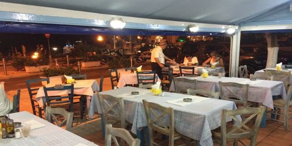 Γκρέιτ φάμιλι