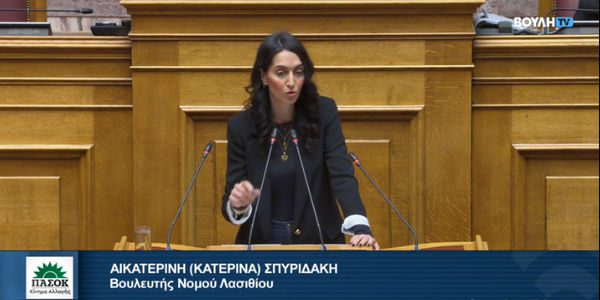 Κατερίνα Σπυριδάκη: Νέα κοινοβουλευτική παρέμβαση για το αδιέξοδο με τους Δασικούς Χάρτες στο Λασίθι