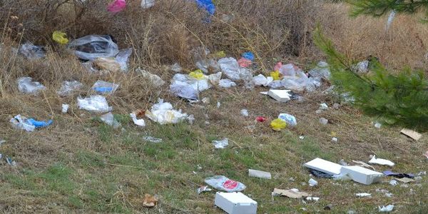 Τι σόι πατριώτης βρωμίζει τον τόπο του; Του Φώτη Κοκοτού